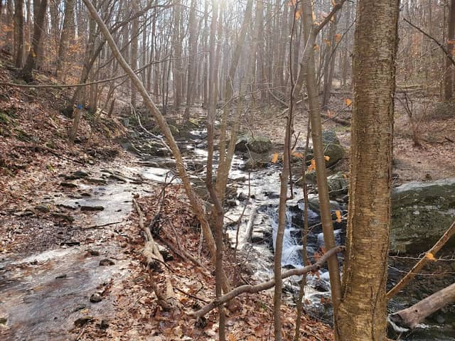 Musconetcong Gorge - Image 1
