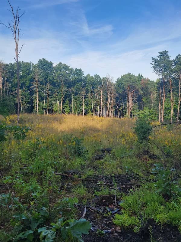 Brower Lake Nature Preserve - Image 1