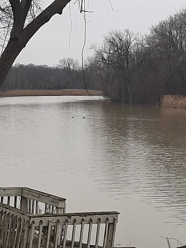 Island View Park Parking Lot - Image 2