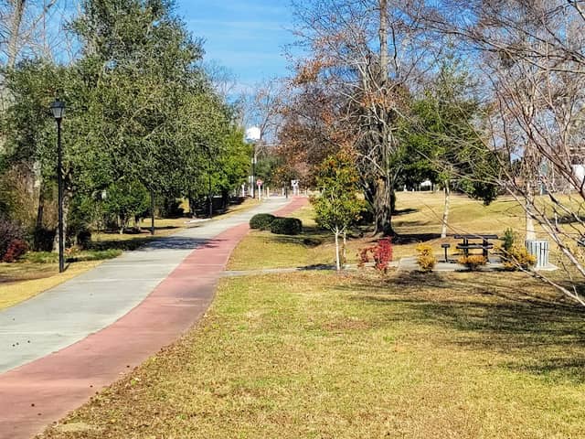 Blind Willie McTell Trail - Image 1
