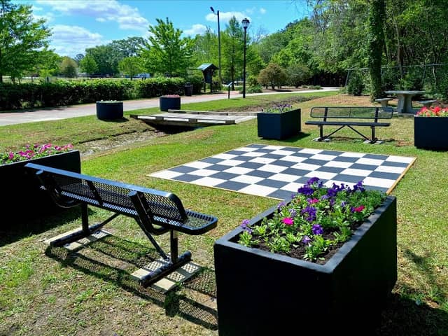 Blind Willie McTell Trail - Image 2
