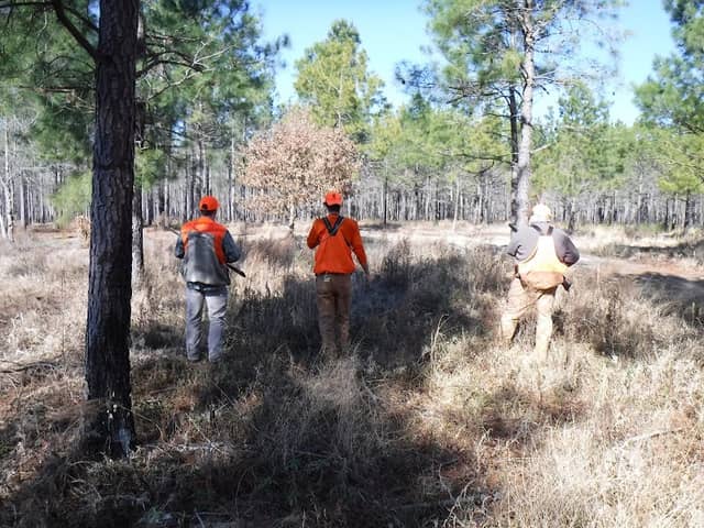 Indian Field Quail Preserve - Image 2