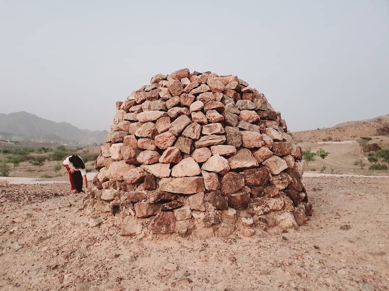 Archaeological Graves - Image 1