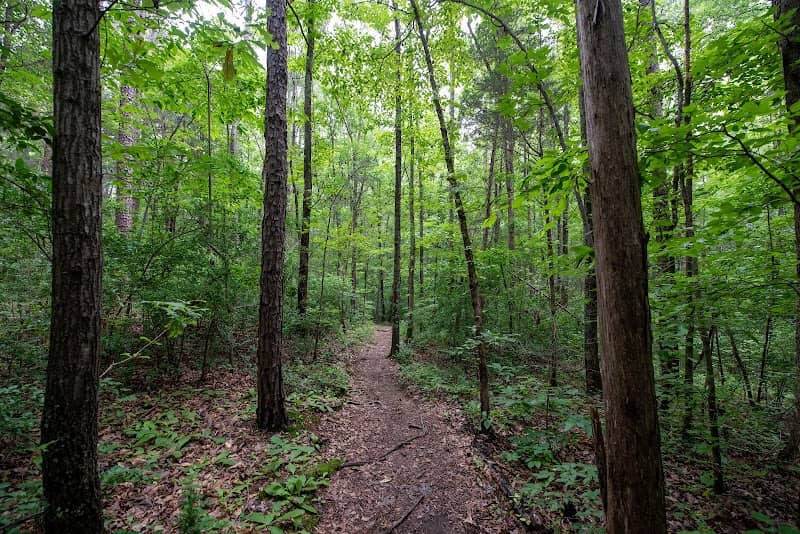 Latta Nature Preserve - Image 1
