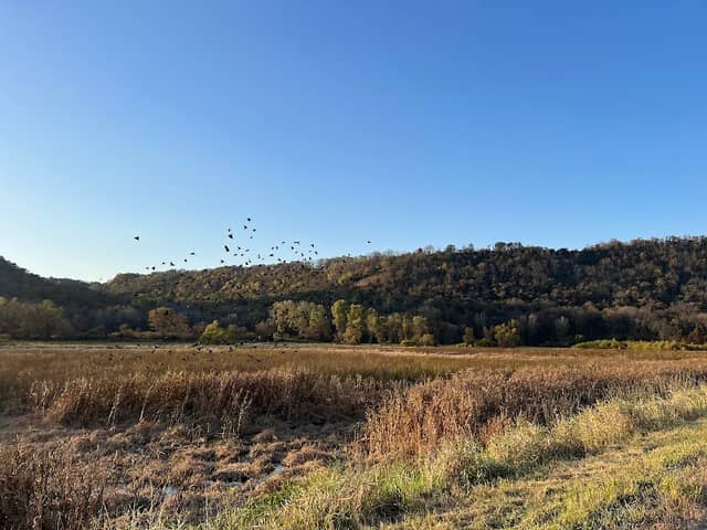 Whitewater Wildlife Management Area - Main Branch Unit - Image 1