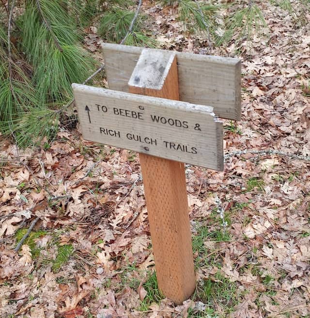 Beebe Woods Trails - Image 1