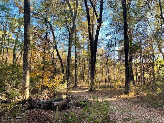 Natchez Trace Chisha Foka Multi-Use Trail - Image 2