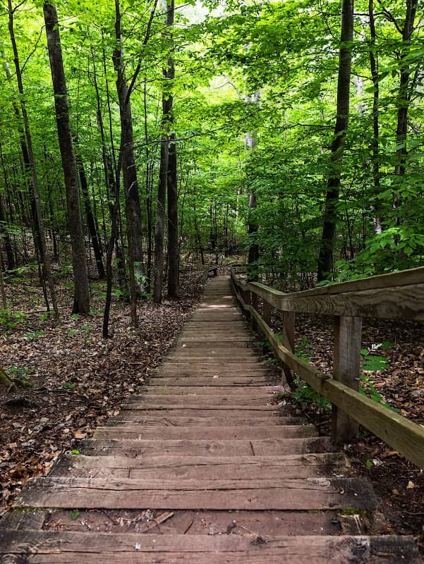 Avalanche Trail - Image 2