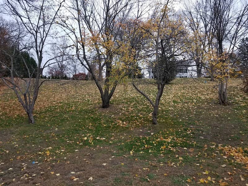 Donahue Park - Image 1