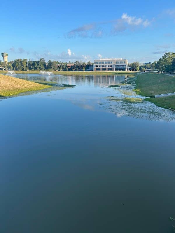 Vision Park - Image 1
