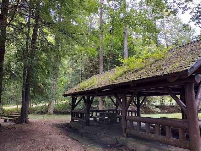 The Laurels Picnic Area - Image 1