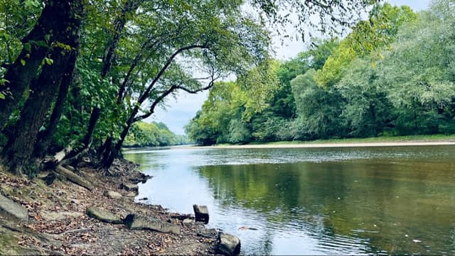 Riverfront Park - Image 1