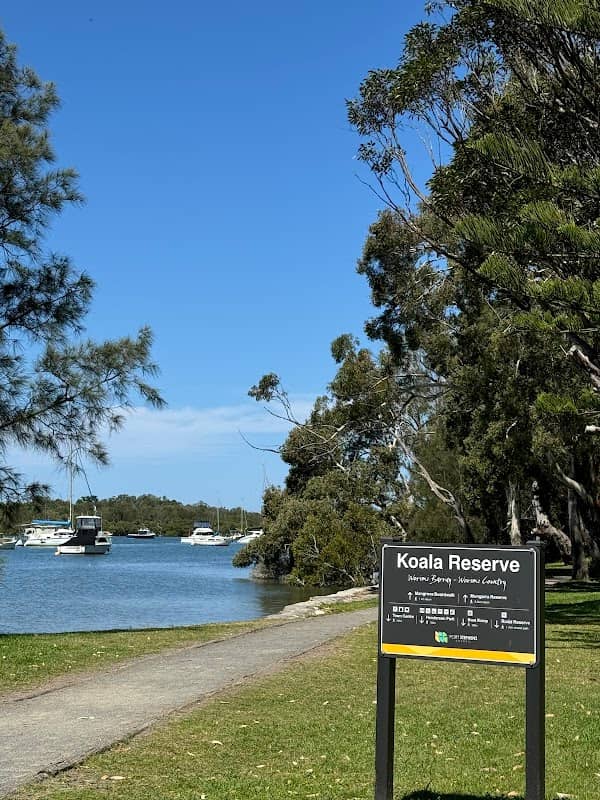 Koala Reserve (Mangrove Boardwalk) - Image 2