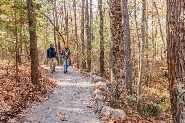 Manchester Cedar Swamp Preserve (TNC) - Image 2