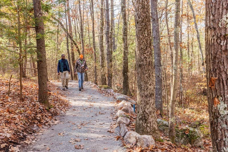 Manchester Cedar Swamp Preserve (TNC) - Image 1