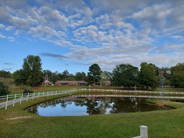 Jackson City Park - Image 1
