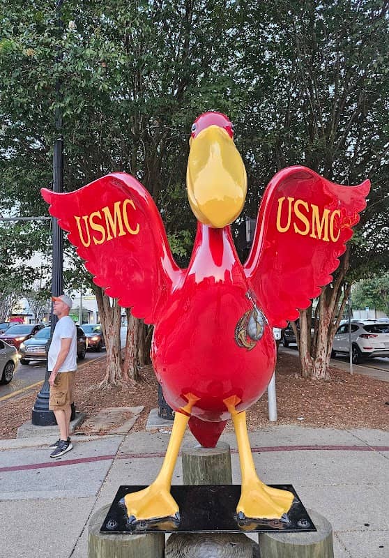USMC Pelican - Image 2