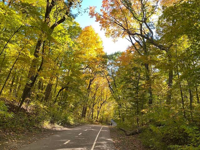 Petrifying Springs Park - Image 1