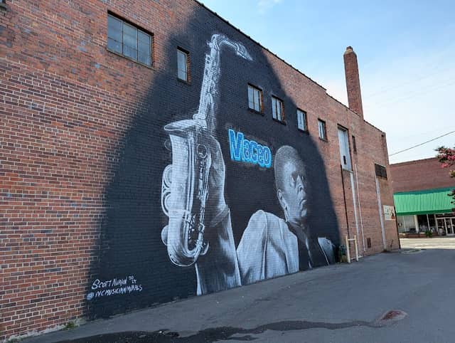 Maceo Parker Mural - Image 2