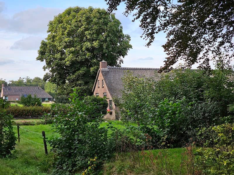 Maatschappij van Weldadigheid / Koloniewoning aan de Koningin Wilhelminalaan 49 (8384GG) Wilhelminaoord - Image 1