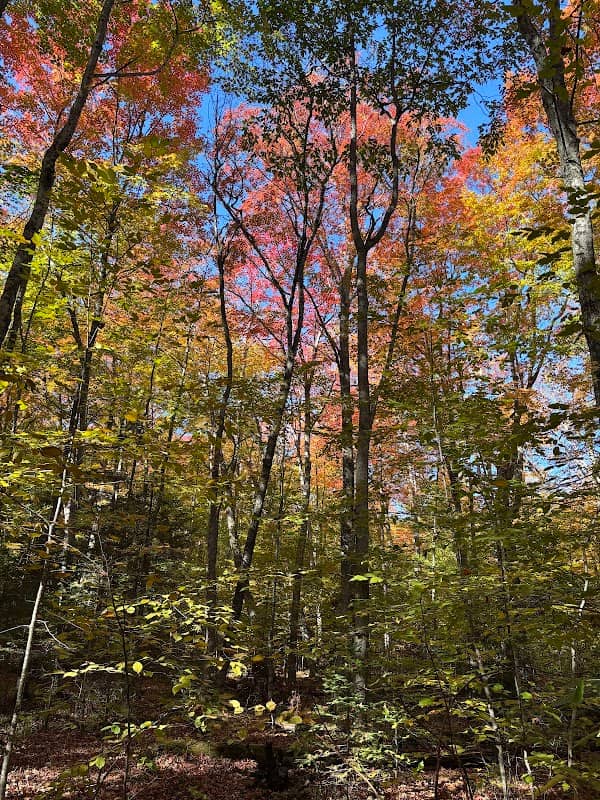 Schoenbrunn Trail Head - Image 2