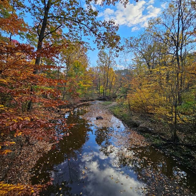 Amherst Beaver Creek Reservation - Image 2
