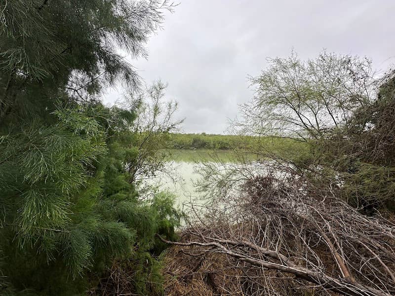 Site 87 San Ygnacio Bird and Butterfly Sanctuary - Image 1