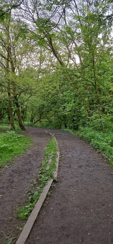 Alkrington Woods Nature Reserve - Image 1