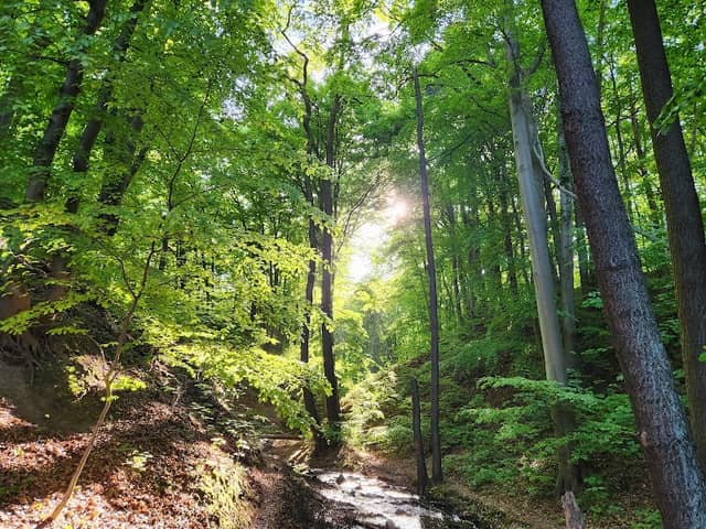 Northern Park - Image 2