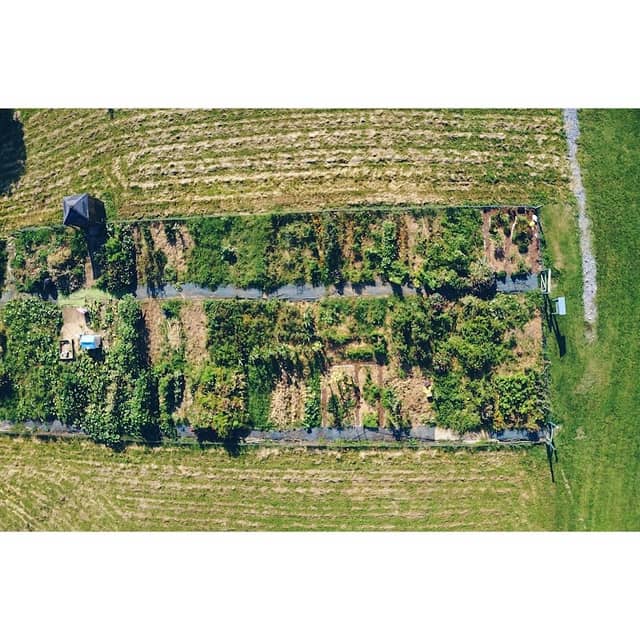Community Garden - Harrisonburg Mennonite Church - Image 2