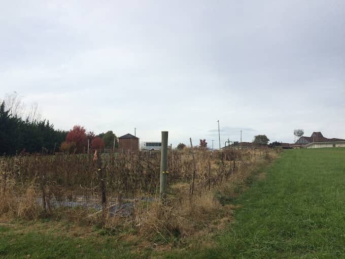 Community Garden - Harrisonburg Mennonite Church - Image 1