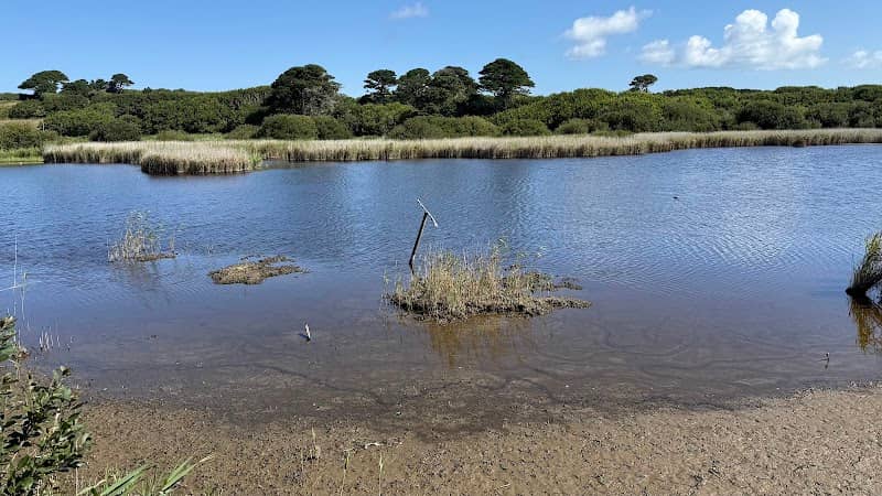 Port Hellick Seaward hide (Bird Hide) - Image 2