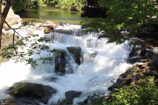 Whatcom Creek Fish Ladder - Image 2