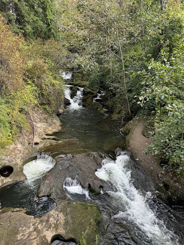 Whatcom Creek Fish Ladder - Image 1