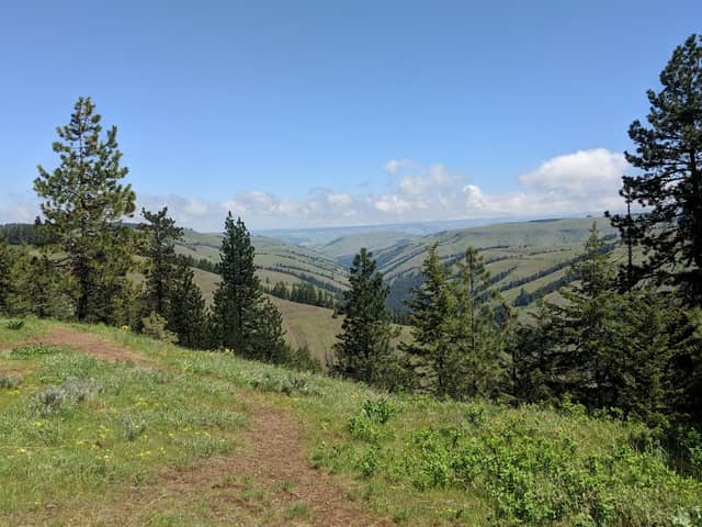 Deadman Pass - Image 2