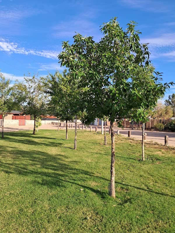 Mesa Heights Park - Image 1