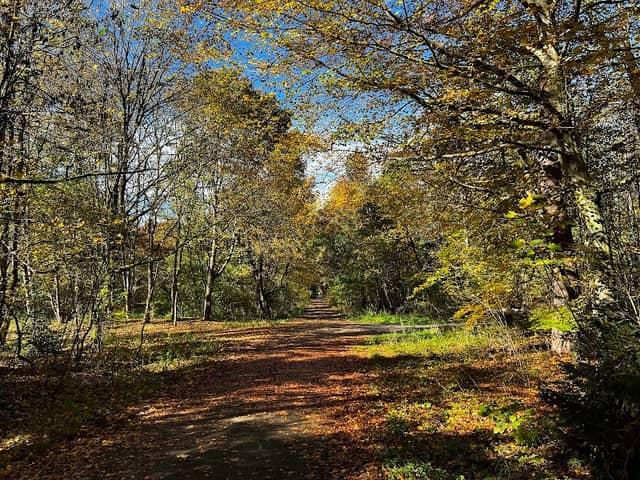 Forstenrieder Park - Image 3