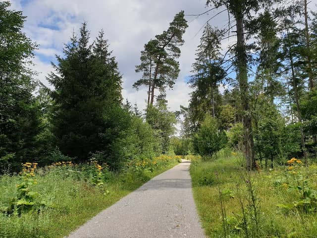 Forstenrieder Park - Image 2