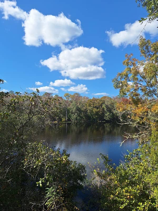 Black Creek Ravines Conservation Area - Image 2