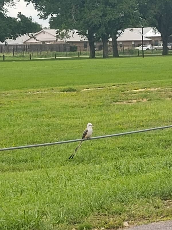 Franklin City Park - Image 3