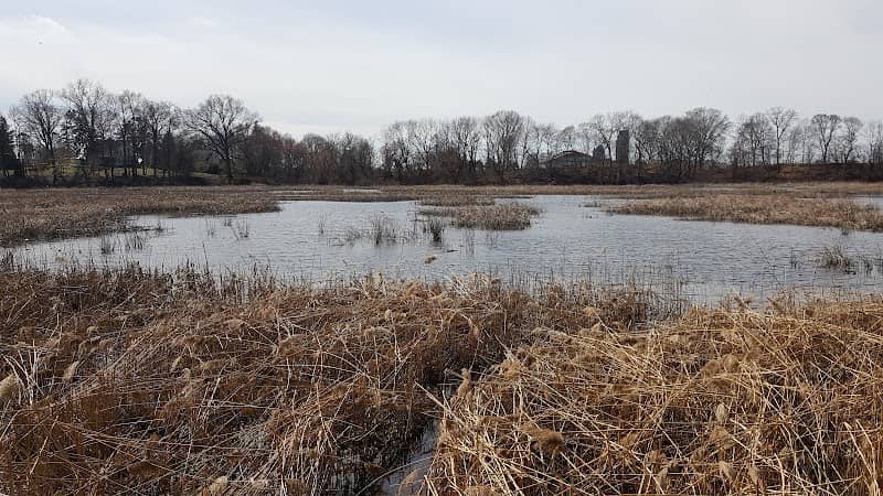 Mannington Marsh Wildlife Refuge Observation Tower - Image 1