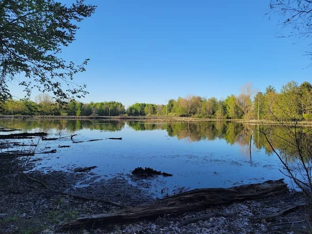 Hawk Meadow Park - Image 2
