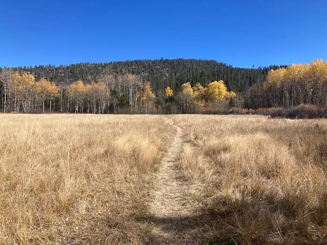 Doe Creek Trail Head - Image 2