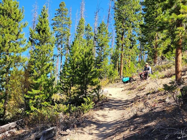 Doe Creek Trail Head - Image 1