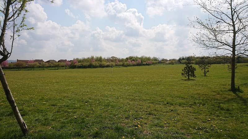 Snowdon Park - Image 2