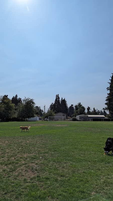 Barendse Park - Image 3