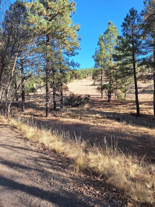 McMillan Mesa Natural Area - Image 2