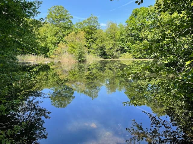 Schwefelteiche - Image 1