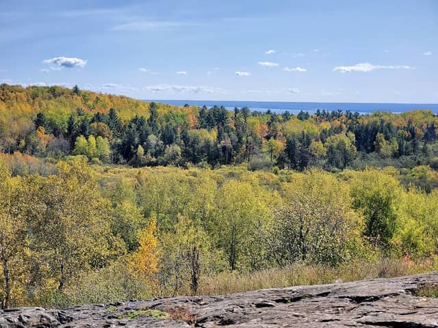 Hartley Nature Center - Image 2