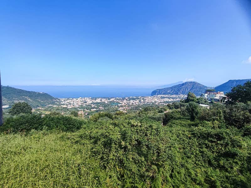 Lookout Point - Image 1